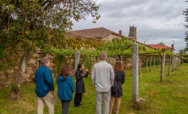 Albariño vineyards vist at Palacio de Fefiñanes