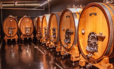 Terras Gauda fudre casks Albariño wine Rosal