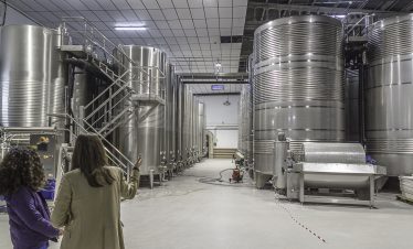 Gran Bazan stainless steel tanks Albariño winery