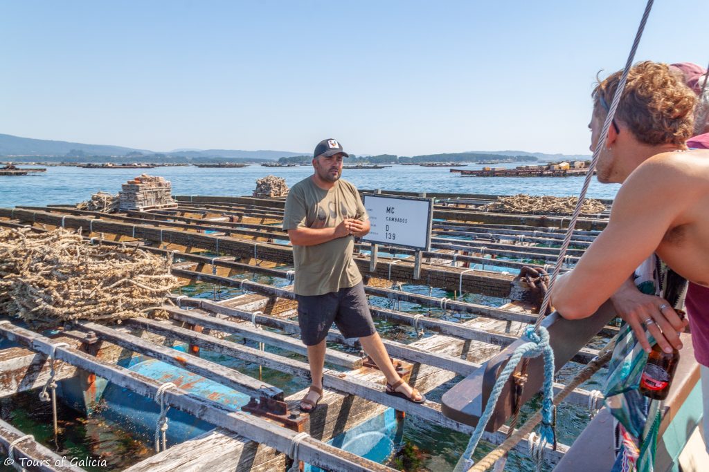 Mussel Farm explanation