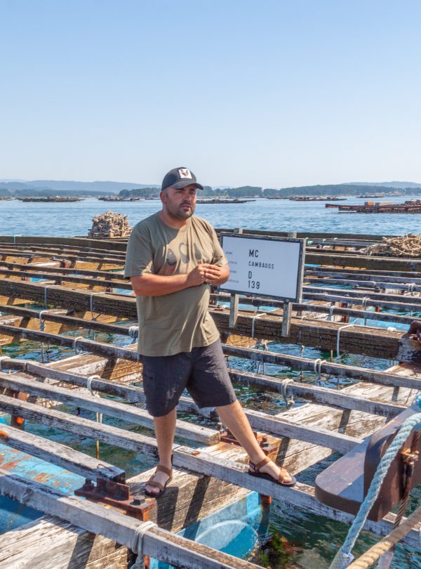 Mussel Farm explanation