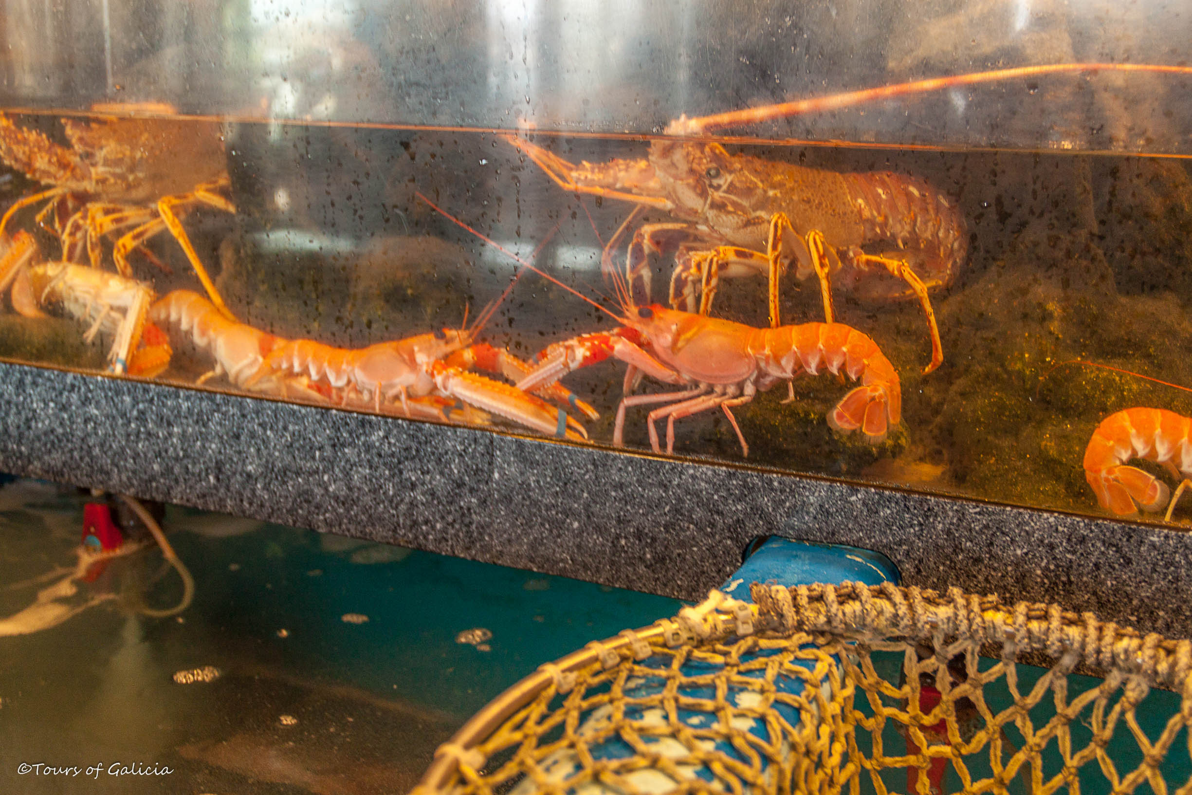 Seafood tank