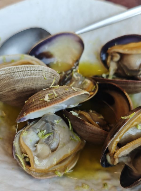 Clams with olive oil