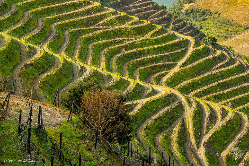 Private Wine Tours Douro Valley