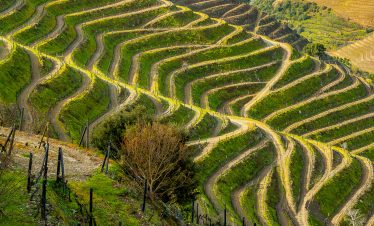 Private Wine Tours Douro Valley