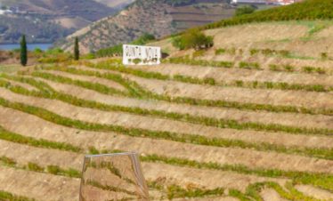 Douro Valle wine tour