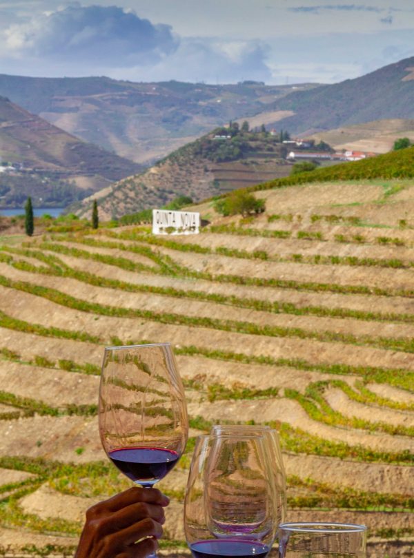 Douro Valle wine tour