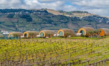 Douro Valley La Pacheca