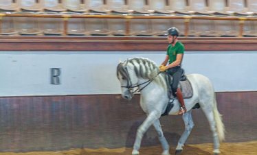 Jerez, horse riding school