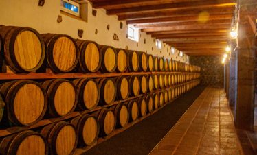 Lanzarote wine cellar