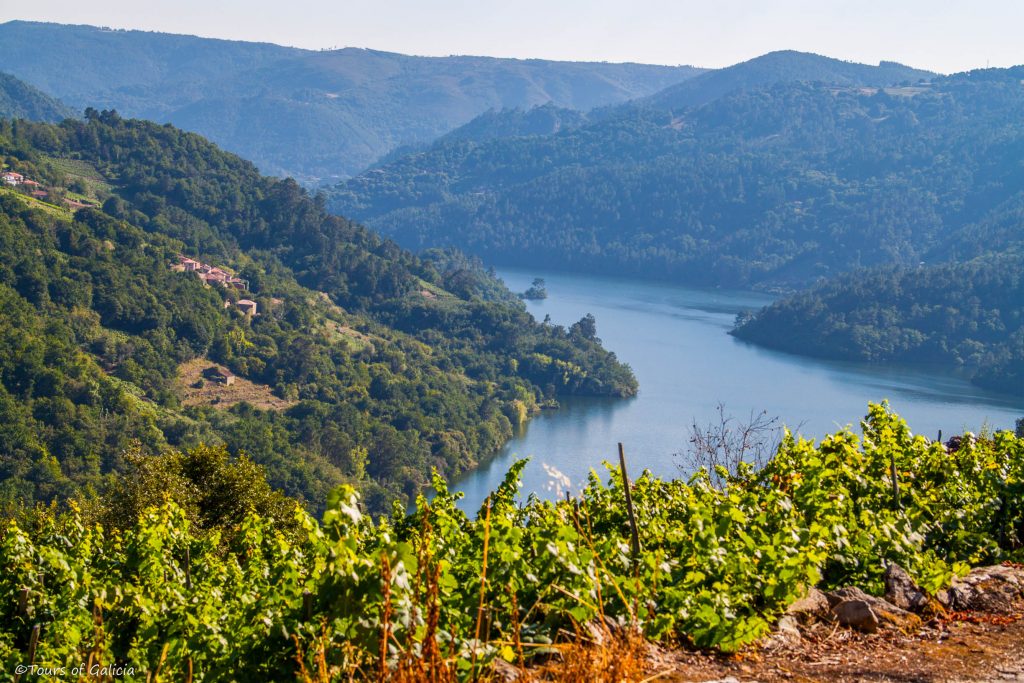 Ribeira Sacra private Wine tour