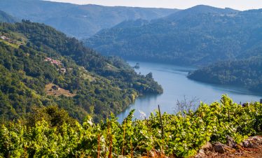Ribeira Sacra private Wine tour