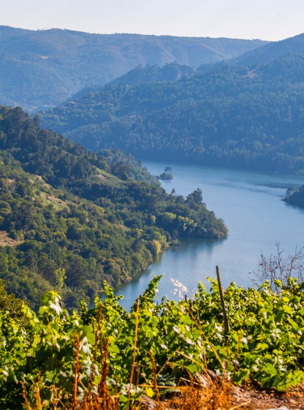 Ribeira Sacra private Wine tour
