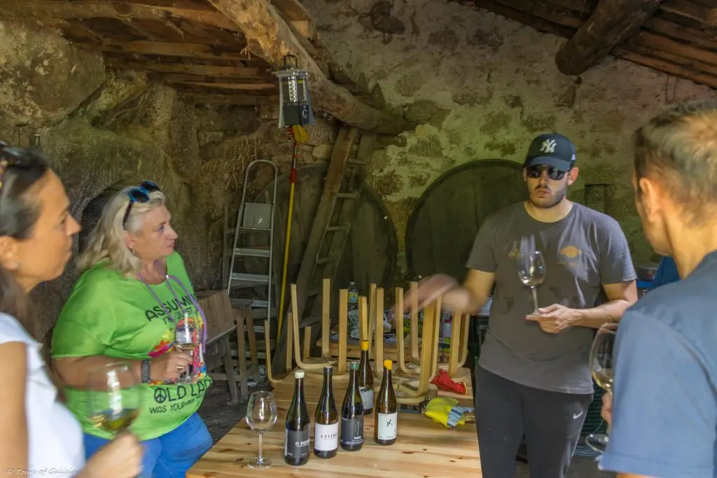 Wine tasting Ribeira Sacra