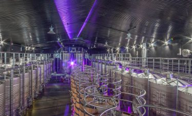 Mencia and Godello wine tour Ribeira Sacra Regina Viarum