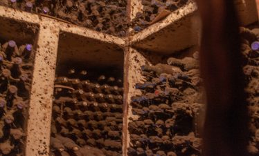 Tempranillo wine cemetery La Rioja