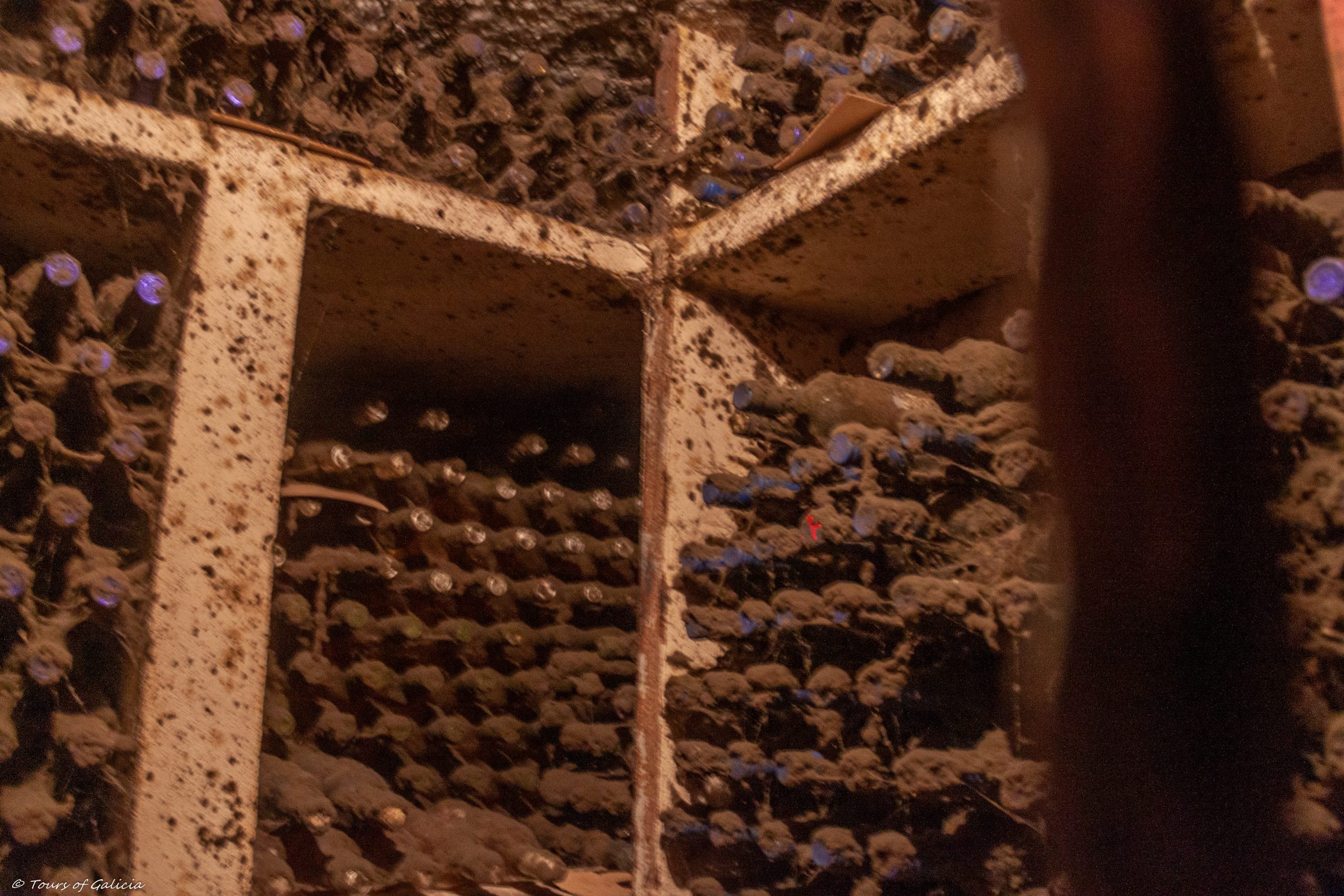 Tempranillo wine cemetery La Rioja