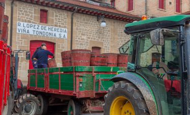 Harvest time in Rioja, Viña Tondonia