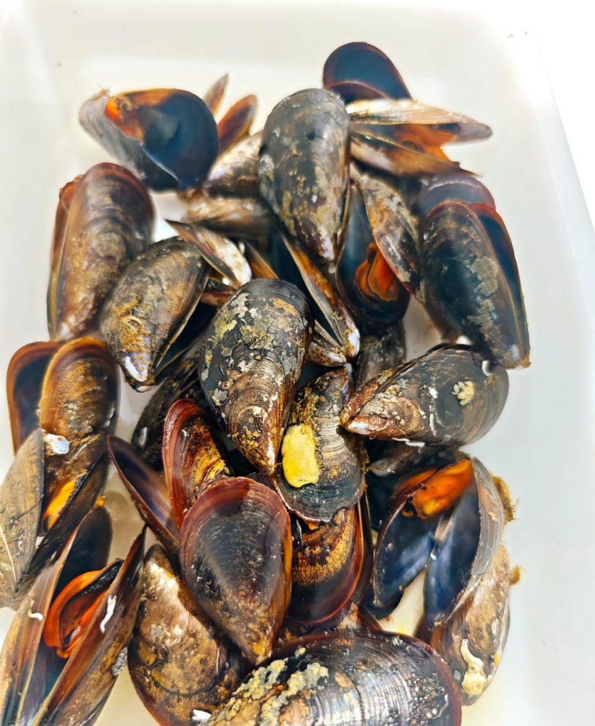 Fresh mussel tasting during a Private Albariño Tour in Arousa Estuary