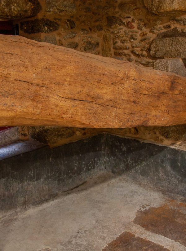 Wine press