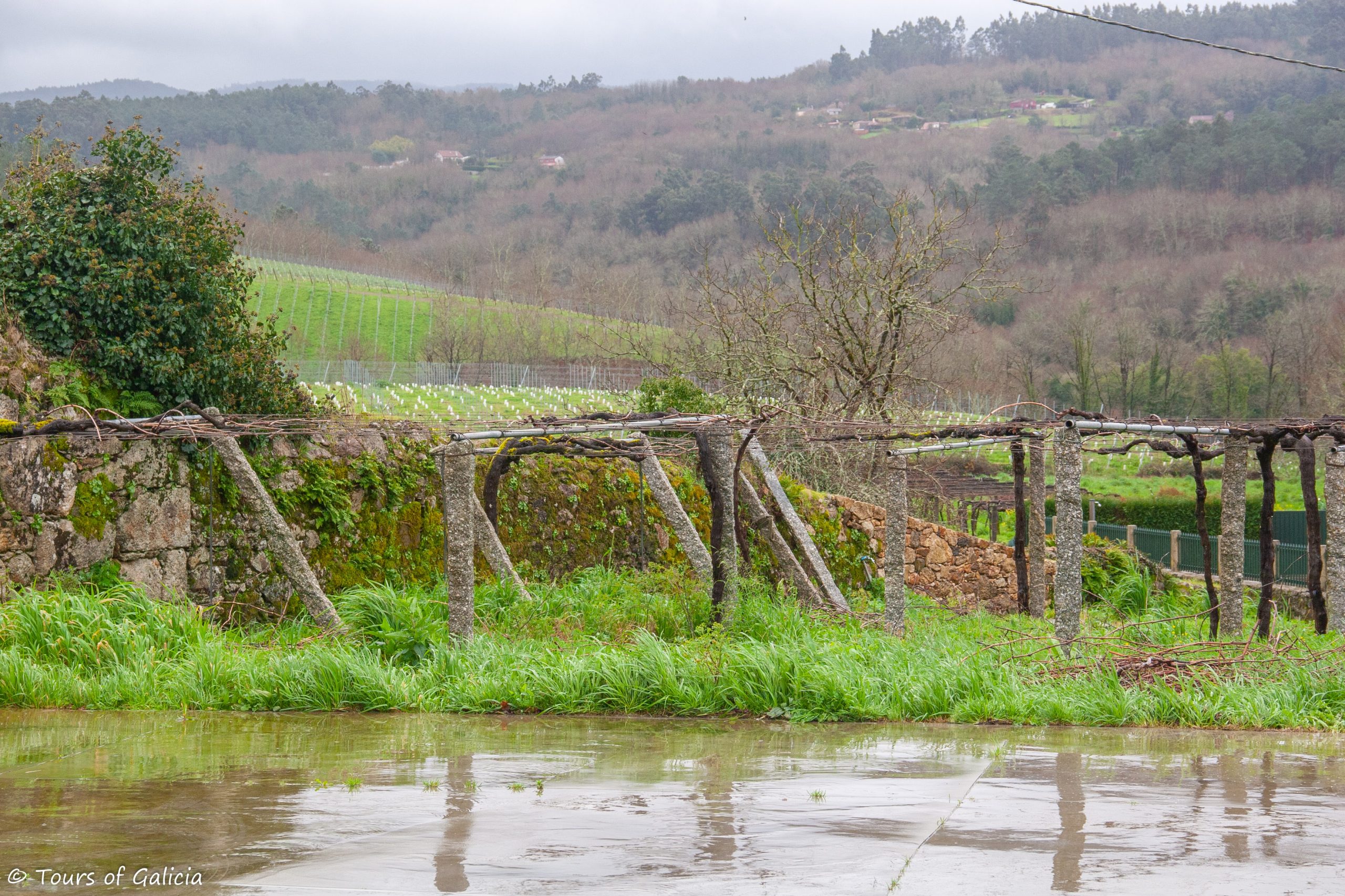 Ulla winery