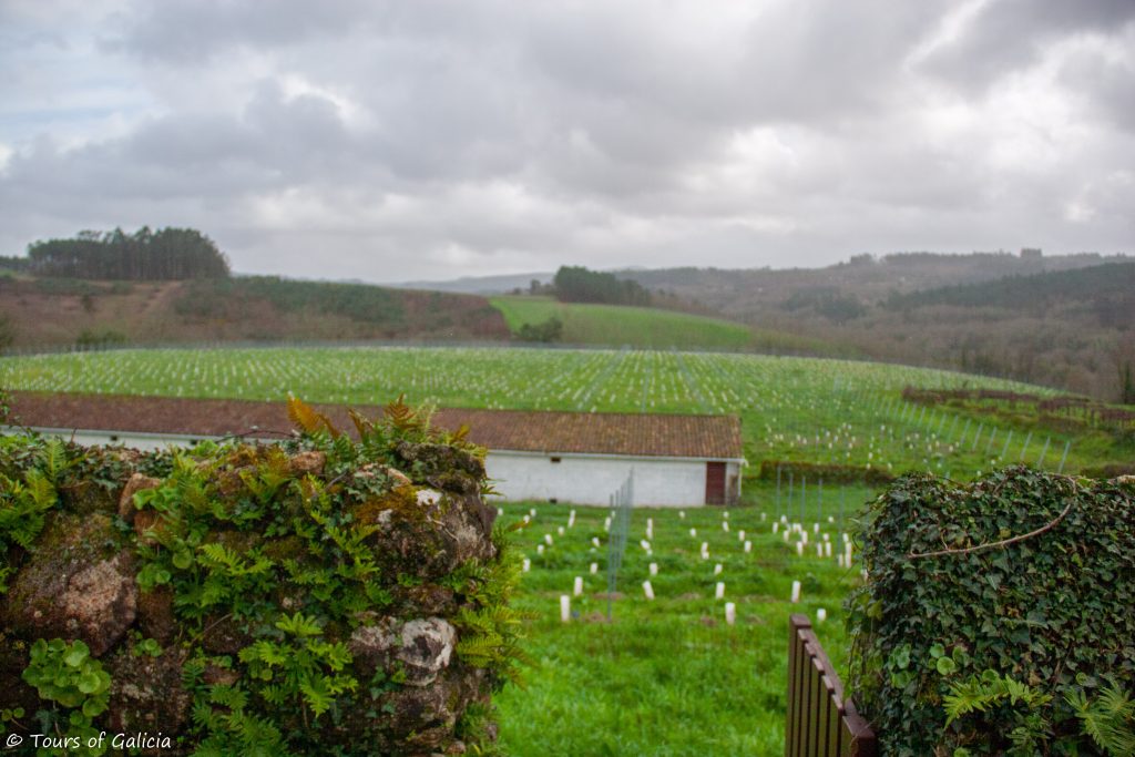 Ulla Winery