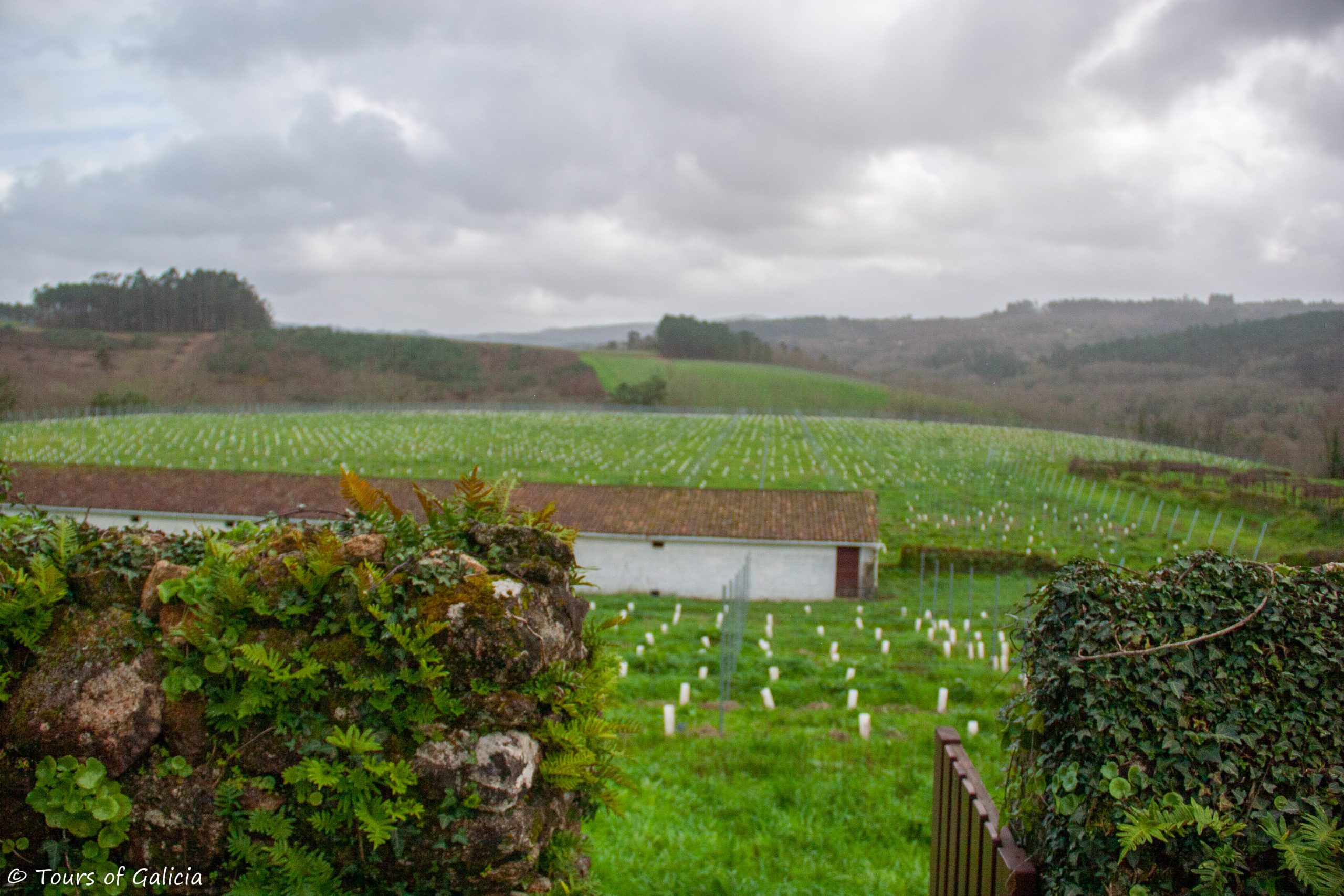 Ulla Winery