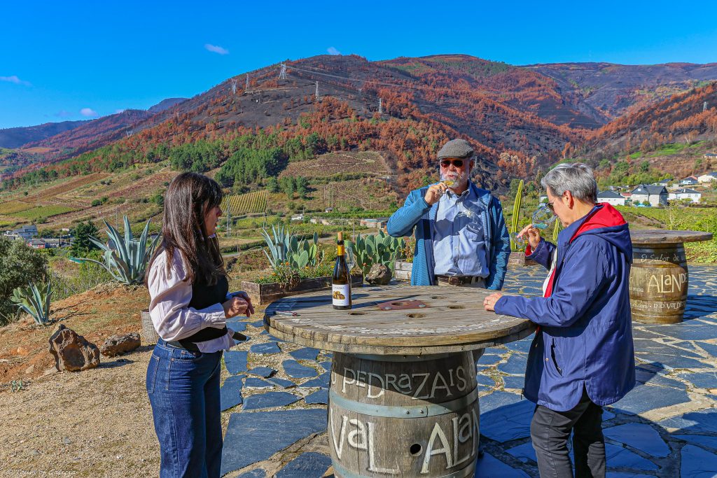 Valdeorras Godello Wines
