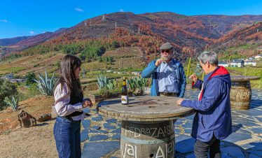 Valdeorras Godello Wines