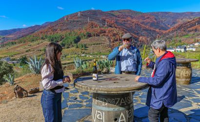 Valdeorras Godello Wines