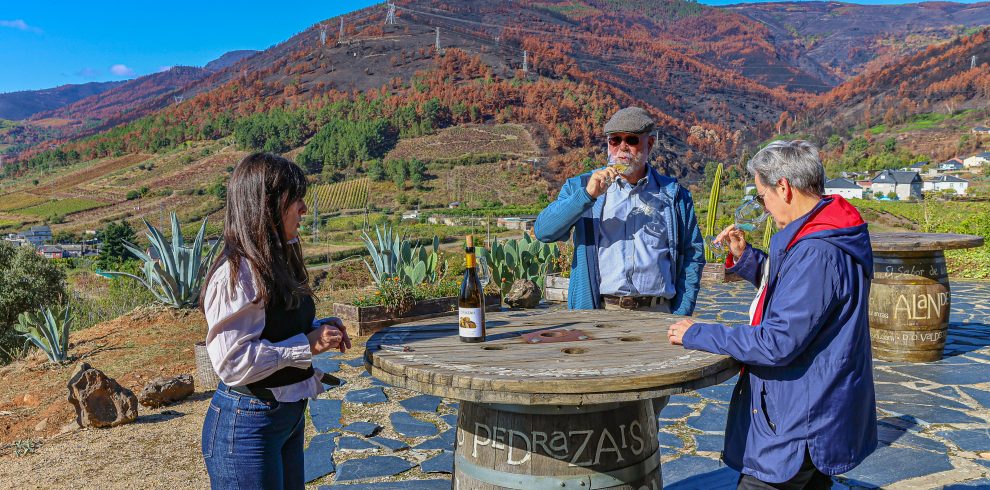 Valdeorras Godello Wines