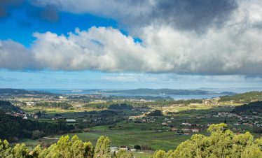 "private wine tour Rías Baixas albariño vineyard"